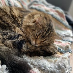 Meet your Posher, Mary-beth